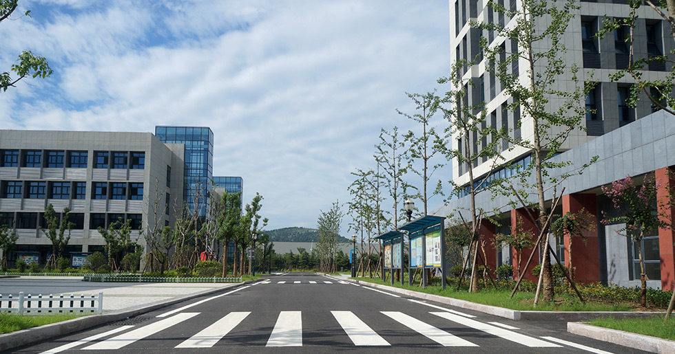 校園的道路